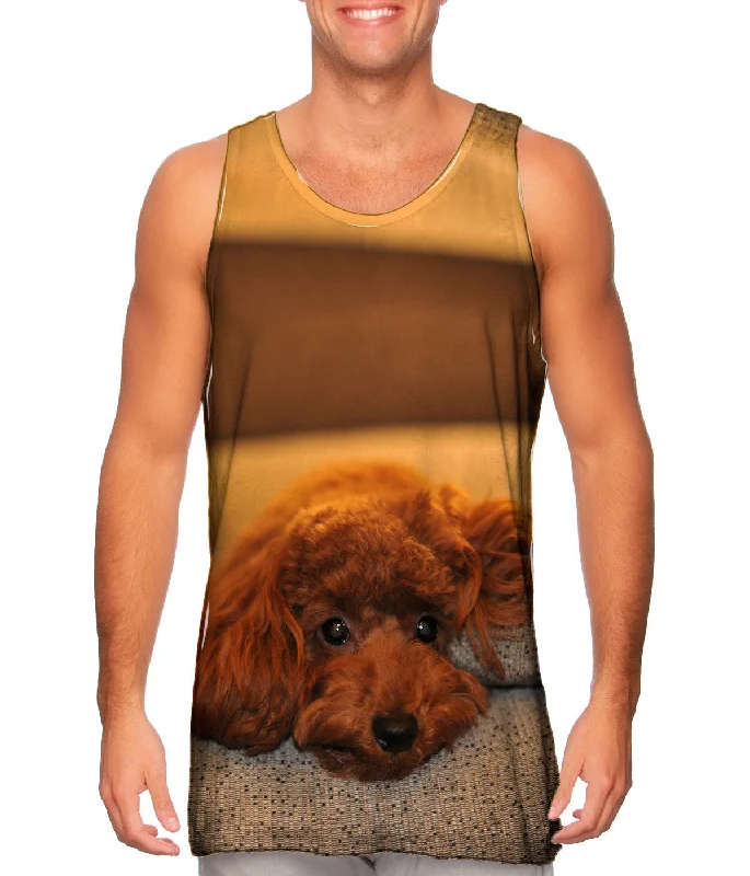 Plus Size Women's Puff - Sleeve Tank Tops in Pastel HuesChocolate Toy Poodle Stare